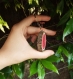 Watermelon key ring, porte-clefs pastèque -wood/bois