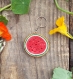 Watermelon key ring, porte-clefs pastèque -wood/bois