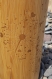 Dandelion notes thermos en bois du bambou et acier inox avec gravure au laser