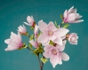 3 branches de magnolia en papier