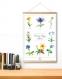 Affiche poster avec suspension bois - fleurs aquarelle déco botanique montagne hautes-alpes
