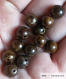 Perle - bronzite - 10 perles 8mm