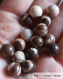 Perle - jaspe picasso - 40 perles 8mm