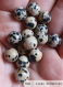 Perle - jaspe dalmatien - 10 perles 8mm