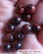 Perle - Œil de taureau - 10 perles 8mm
