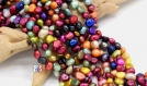 Perles d'eau douce oignon multicolore perle de nacre coquillage deux Ø ~4 et ~8mm   - lot de 20/50 unités