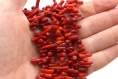Perles corail bambou rouge moyen lot de 20/50 unités