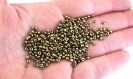 15g perles de rocaille verre ronde 2mm bronze pr2016010