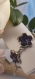 Bracelet fleurs, violettes