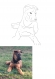Illustration personnalisée de vos animaux - portrait personnalisé chien - illustration numérique minimaliste