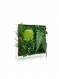 Tableau végétal green elegance 22x22
