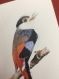 Lot de 5 cartes postales d'oiseaux à l'aquarelle - lot 1