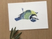 Lot de 4 cartes postales d'oiseaux à l'aquarelle - lot 3