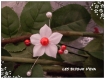 Une pic à cheveux avec des perles nacrées  fleur de soie blanche