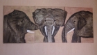 Triptyque  elephant