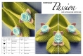 Modèle chaussons ballerines en tricot pour femme.schemas,diagrammes internationaux avec explication design technique en format pdf