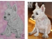 Portraits de vos animaux aux pastel secs à partir d'une photo format 30x40 cm