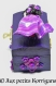 Boîte à secrets -reine des fleurs mauves et violettes