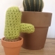 Cactus allongé/ décoration d'intérieur