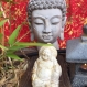 Buddha rieur
