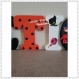 Lettre prénom bois, lettre en bois, prénom en bois, lettre décoration chambre, lettre à poser personnalisé thème miraculous ladybug 20cm