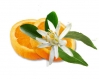 Bougie parfumée à la cire de soja fragrance fleurs d'oranger