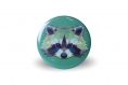 4 magnets animaux 56 mm renard loup ours raton laveur graphique coloré orange vert bleu