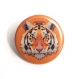 4 magnets animaux 56 mm lion tigre gorille panda graphique coloré rose bleu orange