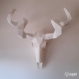 Projet diy papercraft: crâne d'antilope