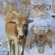 Vache bleue - toile 40 x 40 cm