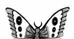 Poster papillon noir et blanc