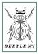 Poster scarabée, insecte pour décoration tropicale