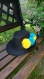 Chapeau noir type panama avec pompons 