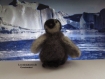 Petit pingouin en laine feutrée fait main 