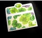 2 pochettes/enveloppes cartonnées fantaisie blanc/ vert 