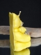 Petite bougie ours câlin parfum pluie du desert, jaune-argent irisé@decomatine 