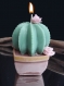 Petite bougie cactus parfum citron/citron vert @decomatine 