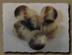 8 boutons beige marron marbré * 15 mm 4 trous 1,5 cm brown button mercerie 