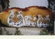 3 tigres peints sur bois