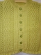 Gilet printanier pour fille, manche courte, vert avec un joli point torsadé, tricoté main 4 ans 