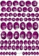 42 image (minimum) digitale hibou/chouette ton violet(envoi mail) (possibilité autre couleur sur demande) 