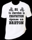 Tee-shirt humoristique imprimé "si tu aimes la perfection, épouse un breton" 
