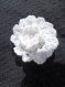 Jolie petite broche forme fleur blanche 