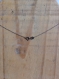 Collier chaîne argent et pendentif galet gris anthracite