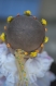 Couronne de fleurs cheveux bébé aux fleurs jaunes