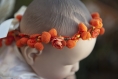 Couronne de fleurs cheveux pour bébé ou poupée