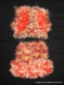 Gilet et jupe en laine orange pour bébé 1 an