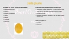 Bracelet en perles naturelles 6 mm : jade jaune, corail et cornaline