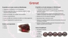 Bracelet en perles naturelles 6 mm : pierre de sang (jaspe héliotrope), grenat et corail