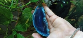 Géode agathe bleu 